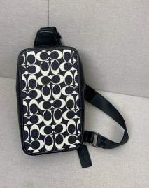 Picture of Coach Mens Bags _SKUfw170100389fw